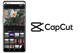CapCut Video Downloader